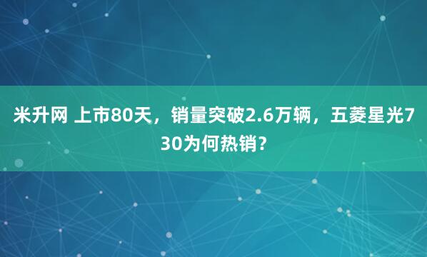 米升网 上市80天，销量突破2.6万辆，五菱星光730为何热销？